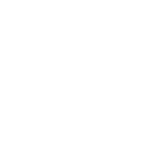 tooth anatomy icon